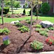 Flowerbed & Shrub Maintenance